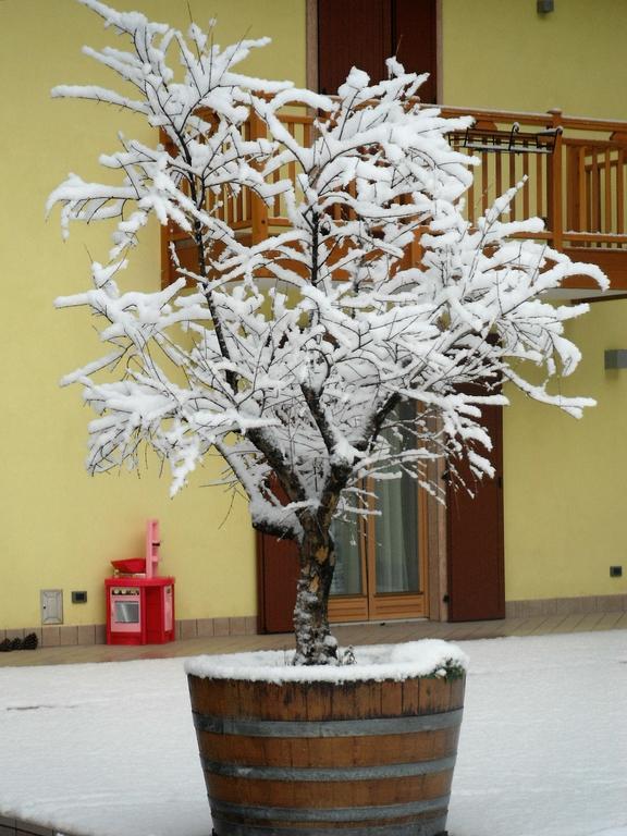 Agritur Ai Masi Villa Pergolese Екстериор снимка